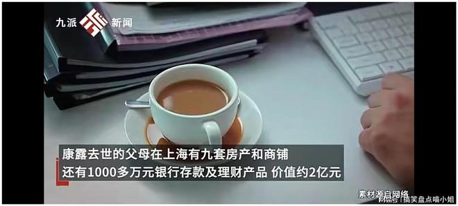 上海吃绝户变乱独生女经受2亿后被离异何如爱戴个体半岛官方体育家产？(图3)