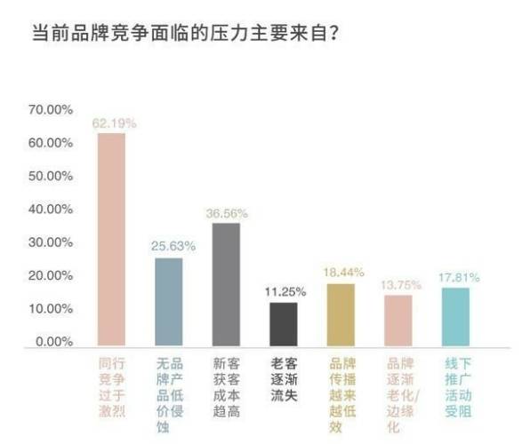 美缝品牌计谋定位万水波：筑材行业半岛官方体育的低价计谋无法叫醒用户的置备(图2)