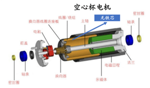 一村本钱查究社 慧半岛官方体育智硅基生动手：具身智能新纪元(图6)